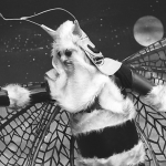 Doctor Who The Web Planet Menoptera