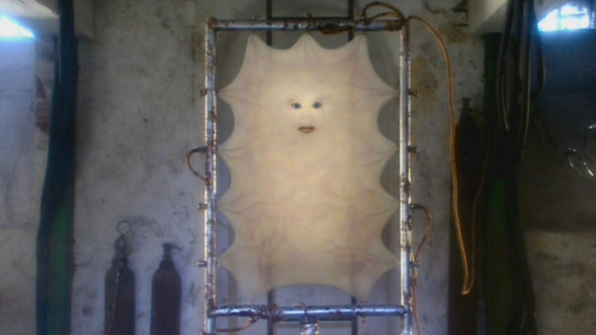 Considering the origin of her skin, (C)assandra