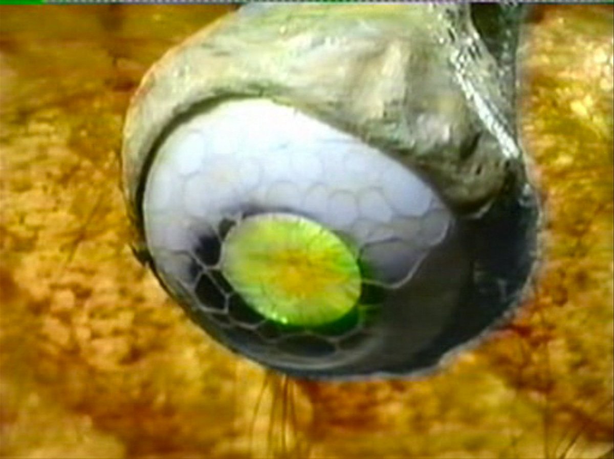 axon-eyeball-claws-of-axos-who-back-when