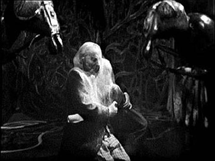 Vicki and Doc in a web bukkake