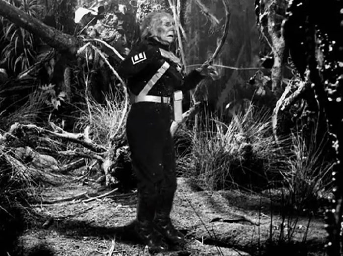 Sara Kingdom, older.