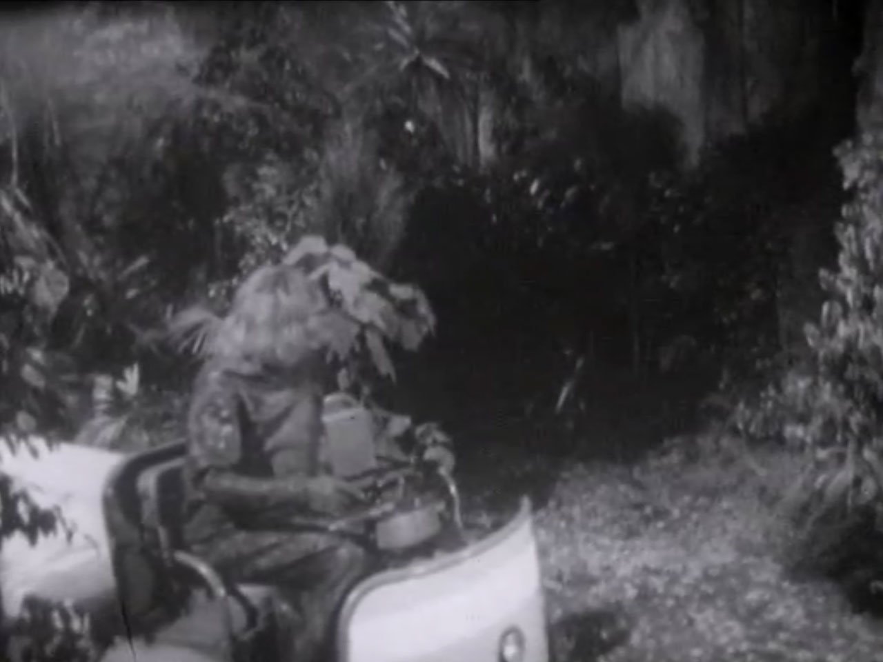 Monoid reversing, Monoid reversing, *bleep*