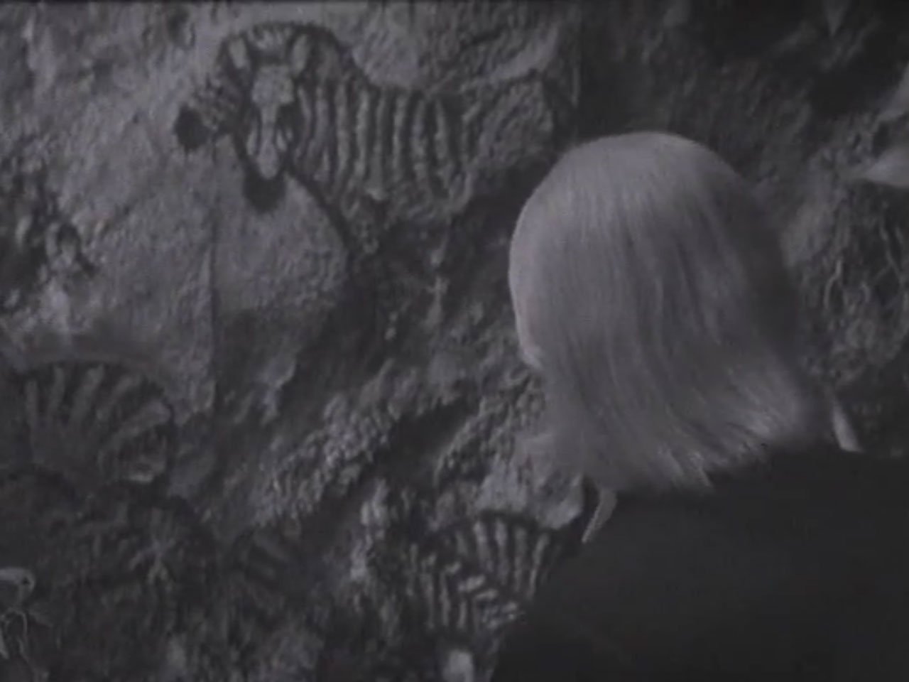 Behold the two-headed zebra, the yeti of this story