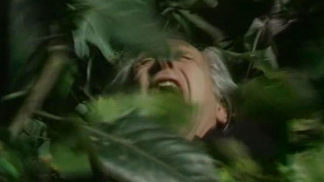 death-by-plant-seeds-of-doom-doctor-who-back-when