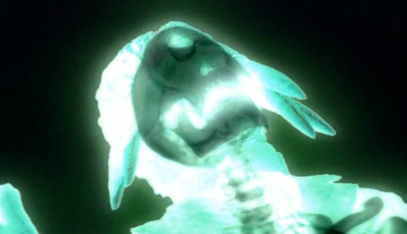 drwho-doctor-who-back-when-evolution-of-the-daleks-human-dalek-xray