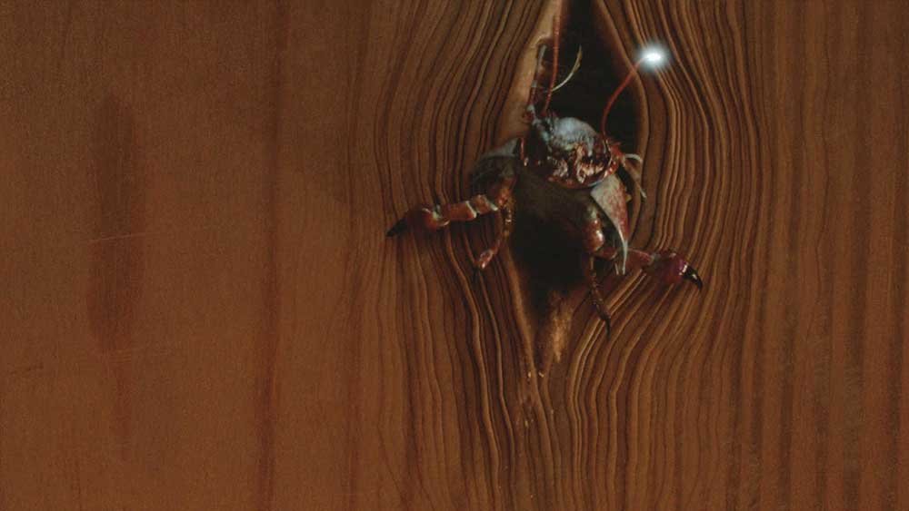 dryad-woodlouse-knock-knock-doctor-who-back-when