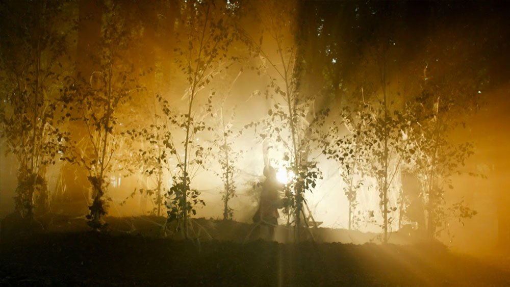 gorgeous-lighting-in-the-forest-of-the-night-doctor-who-back-when
