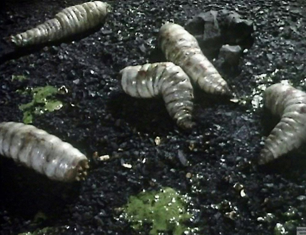 maggots-the-green-death-doctor-who-back-when