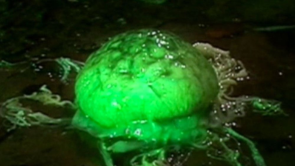 rutan-alien-jellyfish-horror-of-fang-rock-doctor-who-back-when