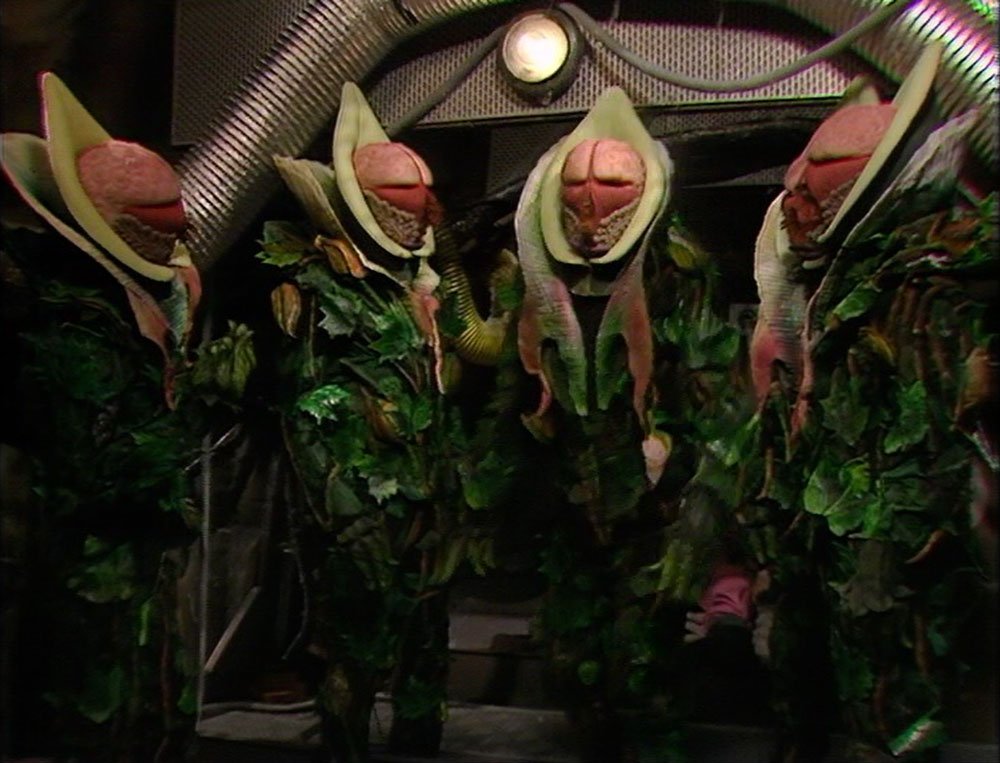 Vaginal penis plants from space have a quick pow-wow before one of them ejaculates grey smoke from his face urethra