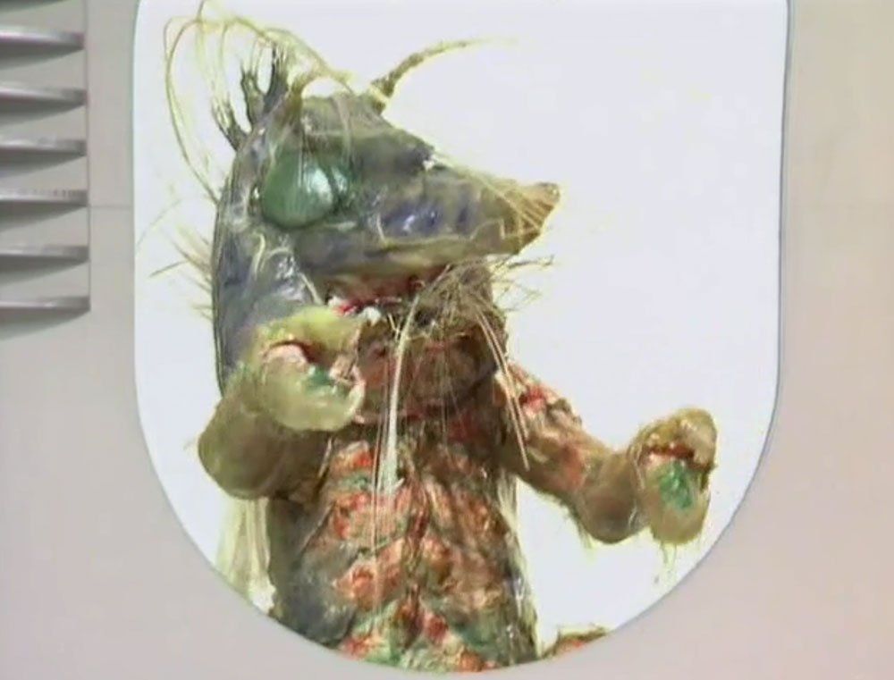 the-nucleus-all-grown-up-invisible-enemy-doctor-who-back-when