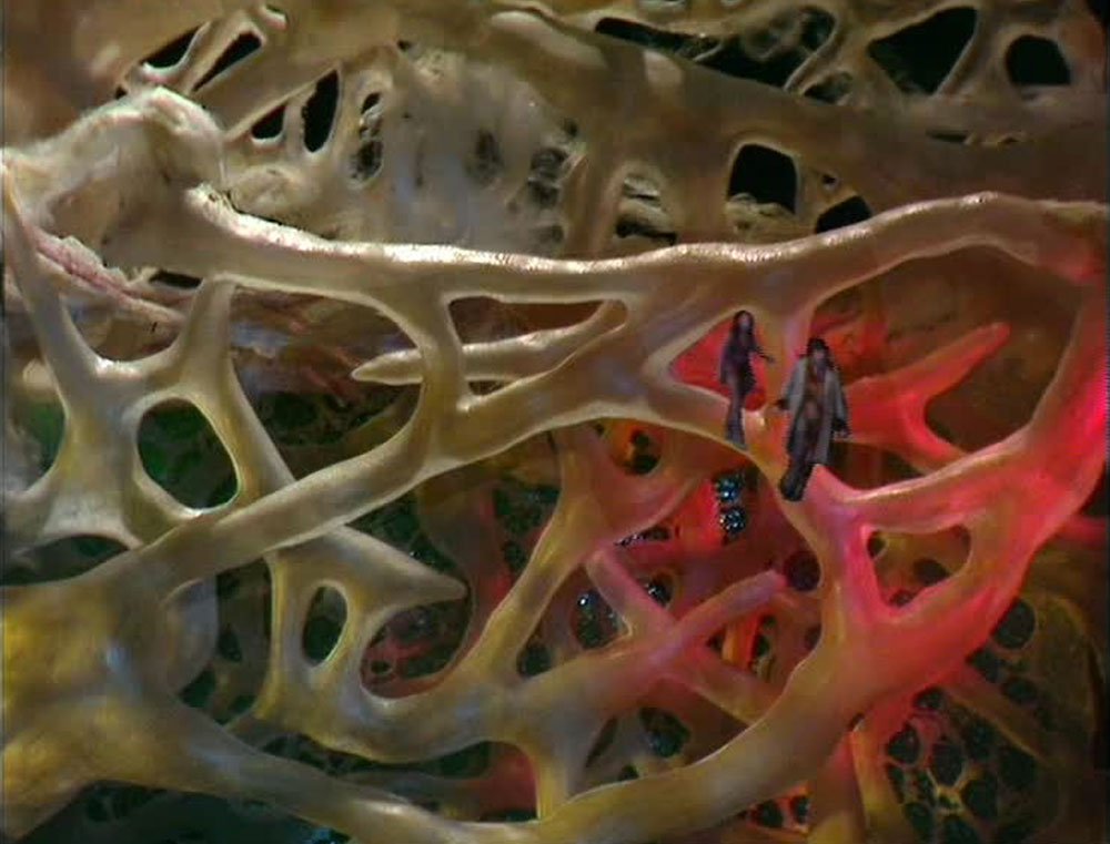 tom-baker-and-leela-inside-docs-brain-invisible-enemy-doctor-who-back-when